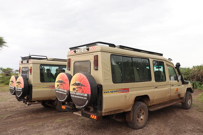 4 Days Mount Kenya Trekking - Participant Qualifications