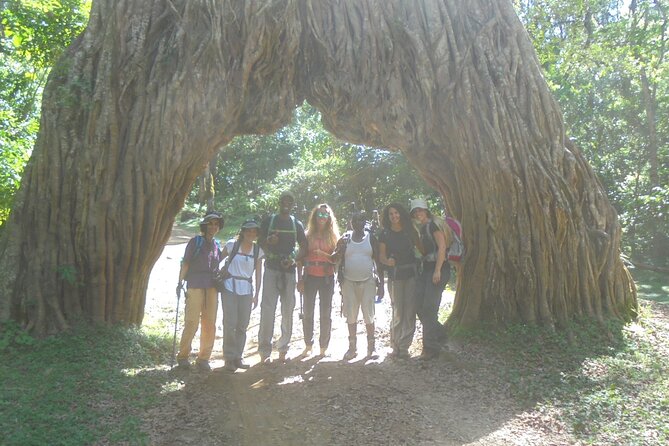 4 Days Mount Meru Climbing | Hiking | Trekking Tour - Traveler Reviews