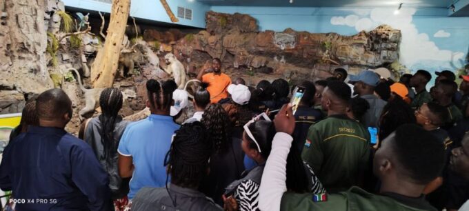 4-Days Overnight Experience in The Panorama Route & Safari - Full-Day Safari Experience