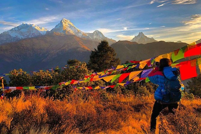 4 Days Poon Hill Trekking From Pokhara - Key Points