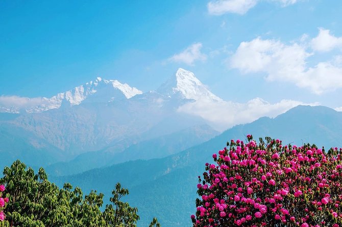4 Days Poon Hill Trekking From Pokhara - Trekking Itinerary
