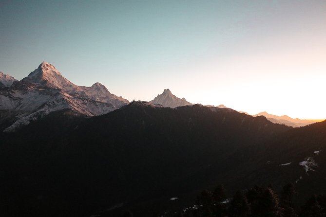 4 Days Poon Hill Trekking From Pokhara - Transportation and Logistics