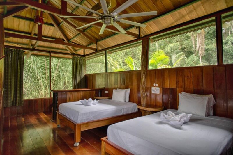 4 Days - Premium Tambopata Jungle Tour - Inclusions