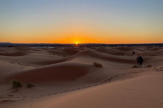 4 Days Private Desert Tour From Marrakech to Merzouga - Accessibility