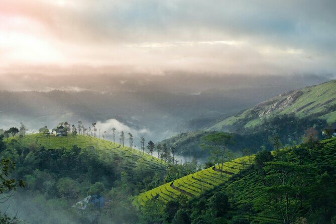 4 Days Private Kerala Tour -Kochi, Munnar, Thekkady with 3* Hotel - Key Points