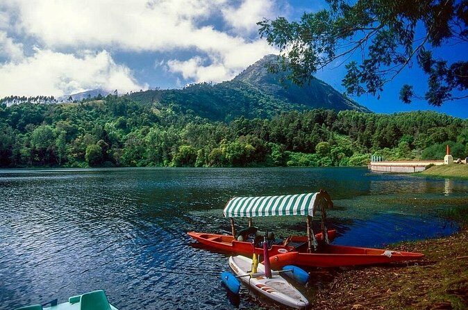4 Days Private Kerala Tour -Kochi, Munnar, Thekkady with 3* Hotel - Who Will Love This Tour?