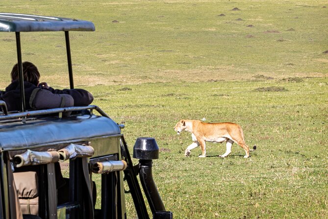 4 Days Private Lodge Safari - Safari Highlights