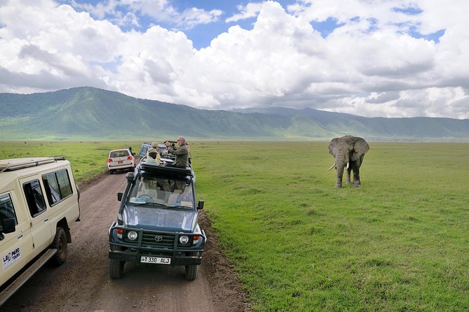 4-Days Private Midrange Safari Tarangire, Serengeti & Ngorongoro - Traveler Accessibility Information