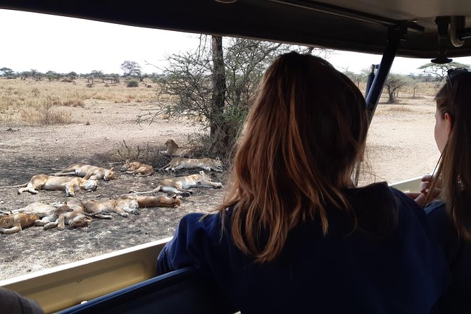 4-Days Private Midrange, Tarangire Ngorongoro, Manyara & Materuni - Exclusions