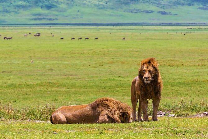 4-Days Private Midrange, Tarangire Ngorongoro, Manyara & Materuni - Lake Manyara National Park