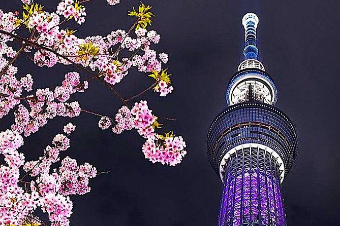 4-Days Private MT Fuji Tokyo Kamakura Nikko Hakone Yokohama Tour - Tokyo Sightseeing