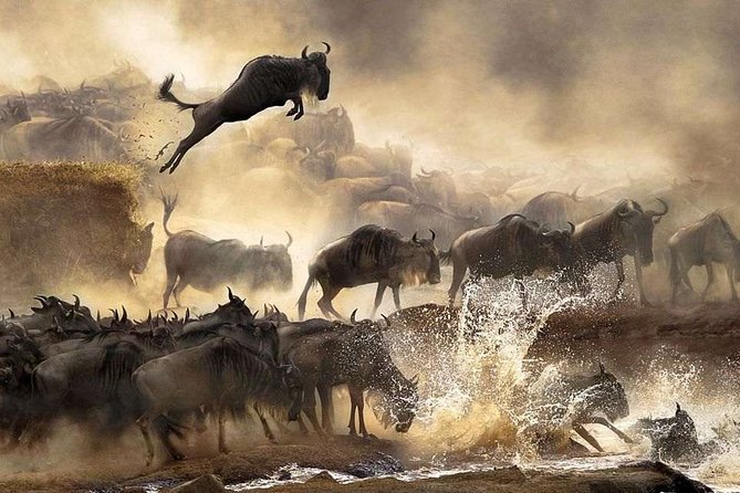 4 Days Private Safari Tour Tanzania - Preparing for Your Safari Journey