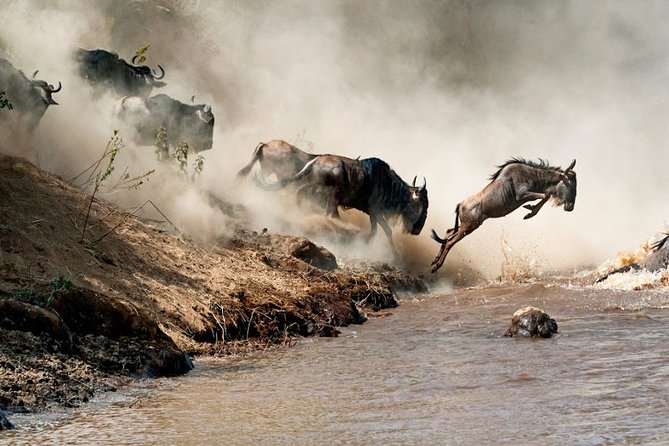 4 Days Private Safari Tour Tanzania - Customizing Your Safari Experience