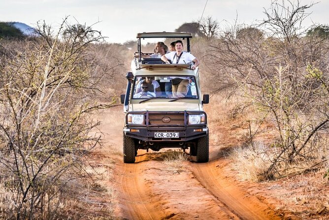 4 Days Private Safari Tour Tsavo and Amboseli From Nairobi - Key Points