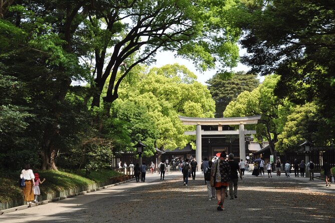 4 Days Private Tokyo and Fuji With Nikko Tour - Key Points