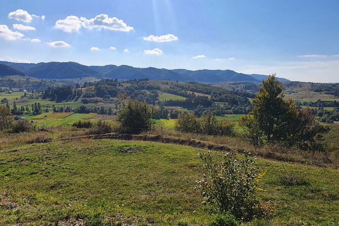 4 Days Private Tour in Transylvania – Departure and Return From/To Bucharest - Traveler Reviews