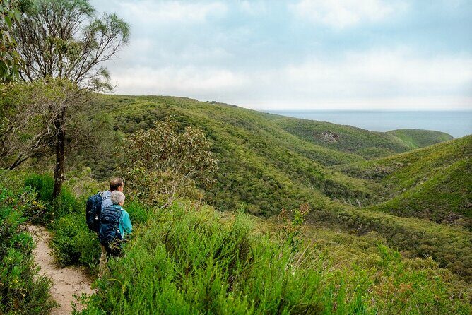 4 Days Private Walking Tour in South Australia - Who Should Consider This Tour?