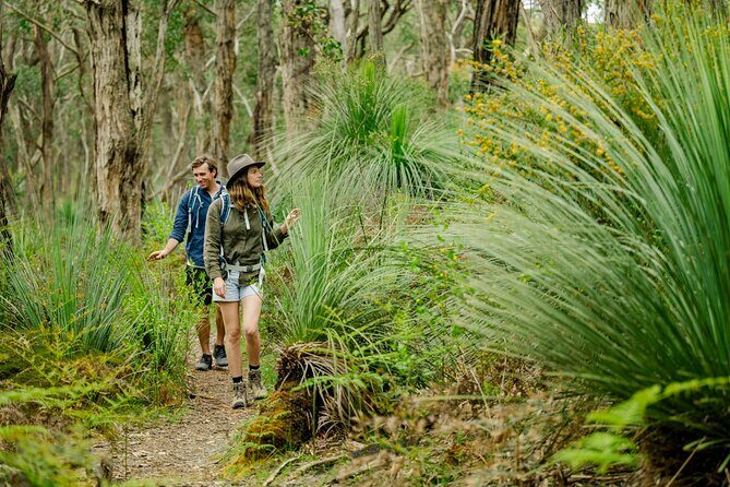4 Days Private Walking Tour in South Australia - The Sum Up