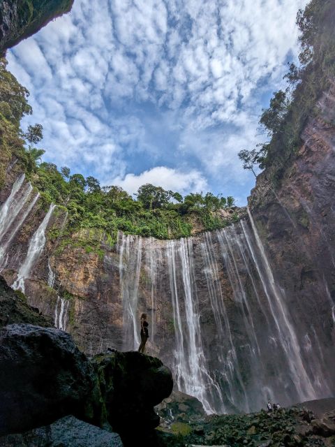 4 Days Road Trip East Java . Mt Bromo, Mt Ijen - Included Services