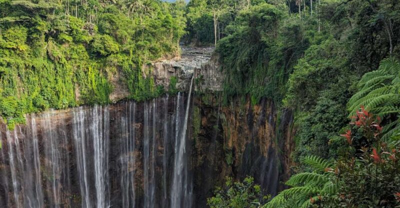 4 Days Road Trip East Java . Mt Bromo, Mt Ijen - Additional Information