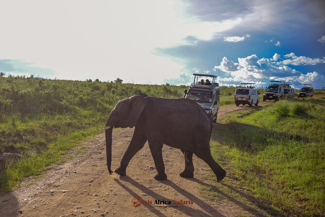 4 Days Safari Adventure Masai Mara and Nakuru Park Group - Meeting and Pickup Details