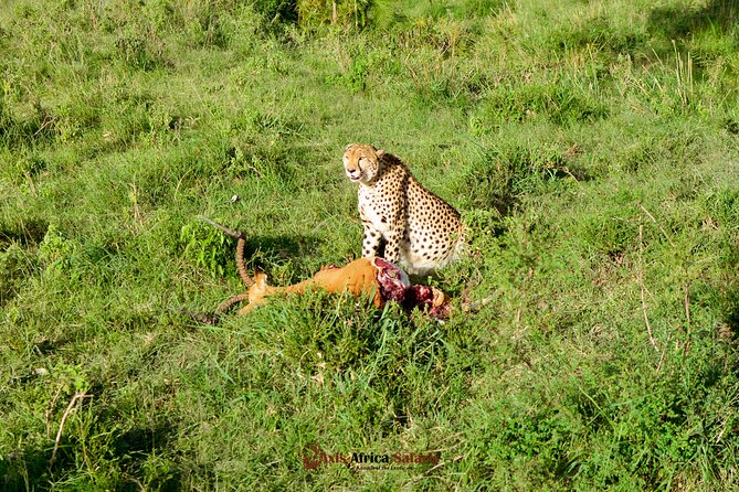 4 Days Safari Adventure Masai Mara and Nakuru Park Group - Preparing for the Safari