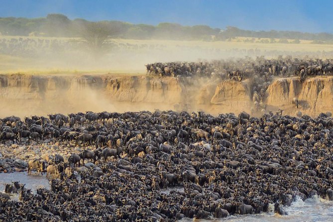 4 Days Safari in Tanzania - Olduvai Gorge Discovery