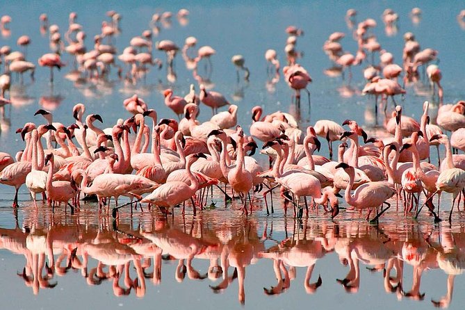 4 Days Safari in Tanzania - Cultural Immersion