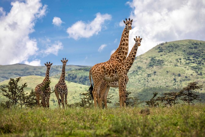 4 Days Safari Tour Tanzania - Included in the Tour