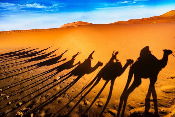 4 Days Sahara Desert Tours From Marrakech to Fes - Meals Included