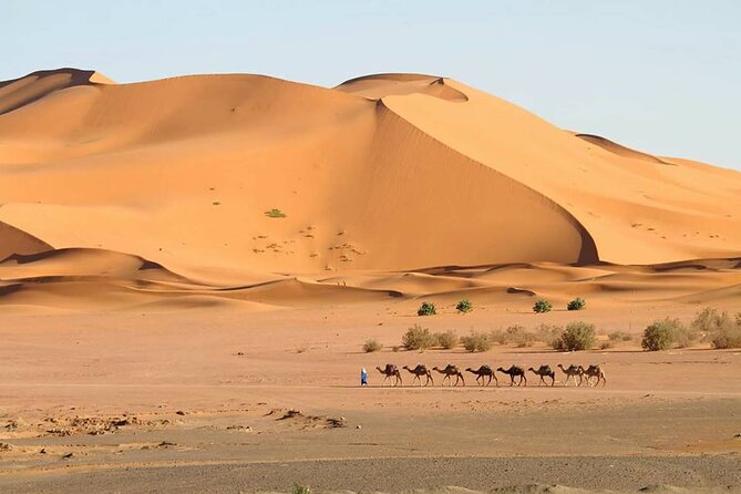 4-Days Sahara Desert Trip From Marrakech End at Marrakech - Meeting and Pickup