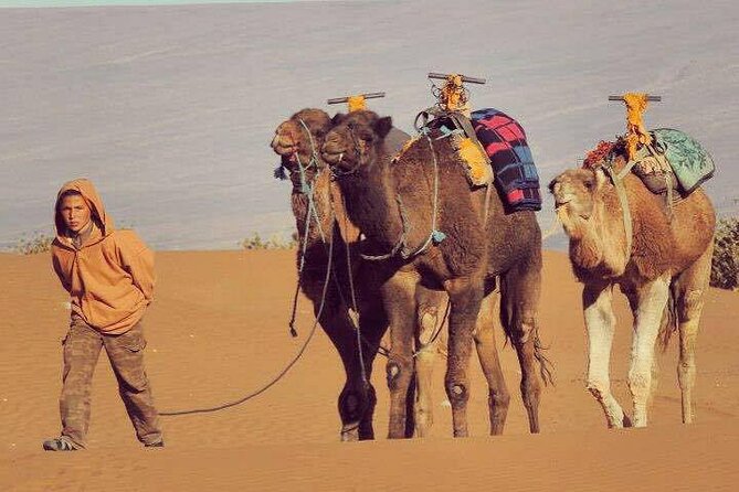 4-Days Sahara Desert Trip From Marrakech End at Marrakech - Additional Details