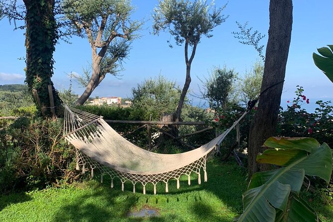 4 Days South Italy Trip - Amazing Experience in Sorrento & Amalfi Coast - Day Trip to Positano and Amalfi