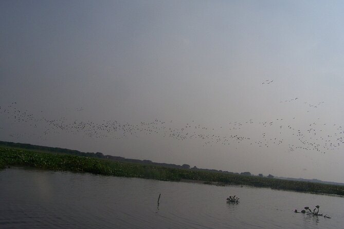 4-Days Srimangal Adventure Tour With Cycling Excursion - Traveler Reviews