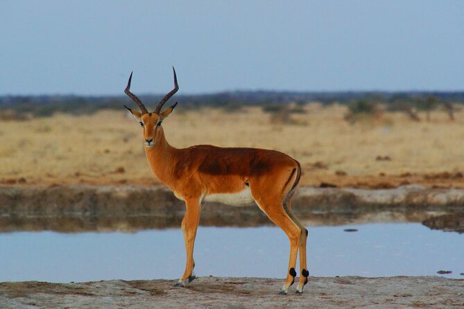4 Days Tanzania Budget Group Join Safari- Serengeti & Ngorongoro - Serengeti National Park