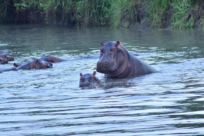4 Days Tanzania Budget Group Join Safari- Serengeti & Ngorongoro - Ngorongoro Crater