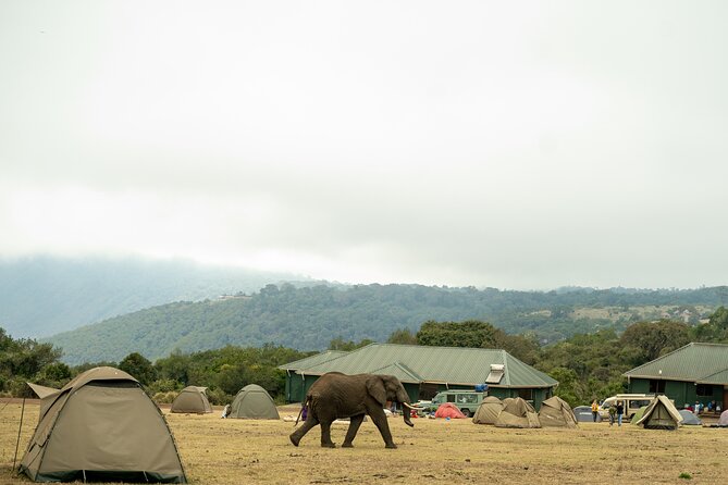 4 Days Tanzania Budget Safari - Accommodation