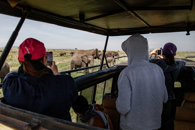 4 Days Tanzania Budget Safari - Park Fees and Permits