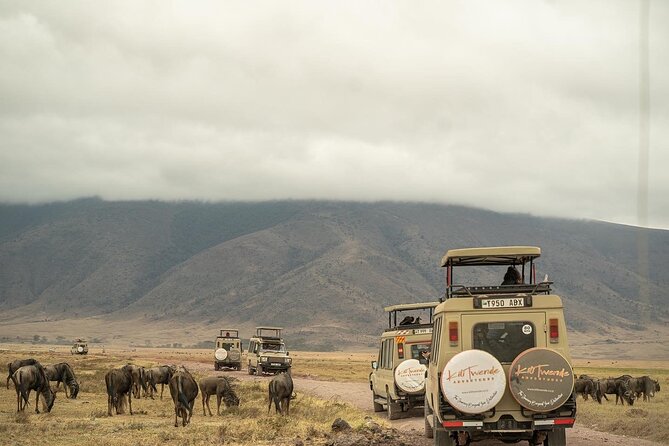 4 Days Tanzania Budget Safari - Additional Information