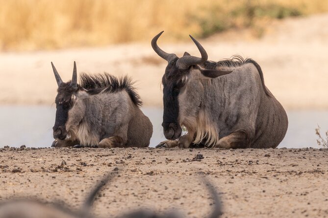4 Days Tanzania Budget Safari - Key Points