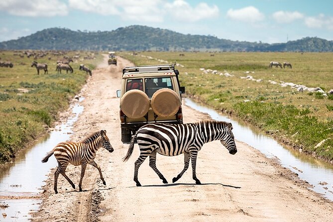 4 Days Tanzania Camping Safari - Daily Itinerary