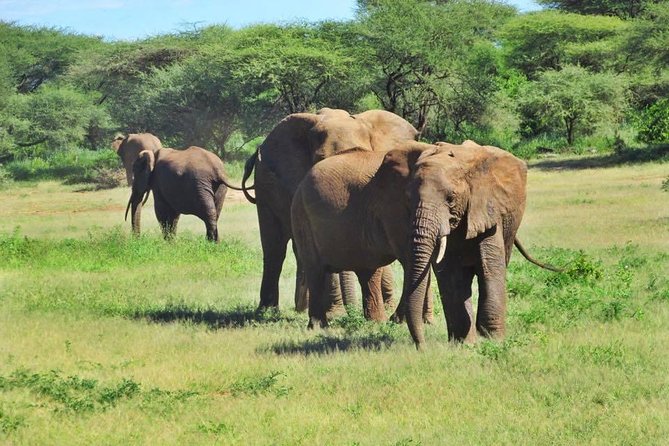 4 Days Tanzania Camping Safari - Exclusions