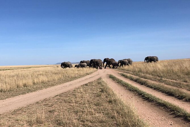 4 Days Tanzania Camping Safari - Cancellation Policy