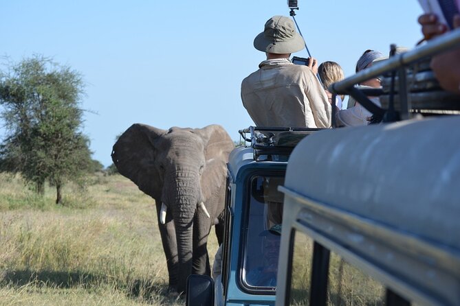 4 Days Tanzania Lodge Safari With Two Nights at Serengeti - Accommodation and Dining