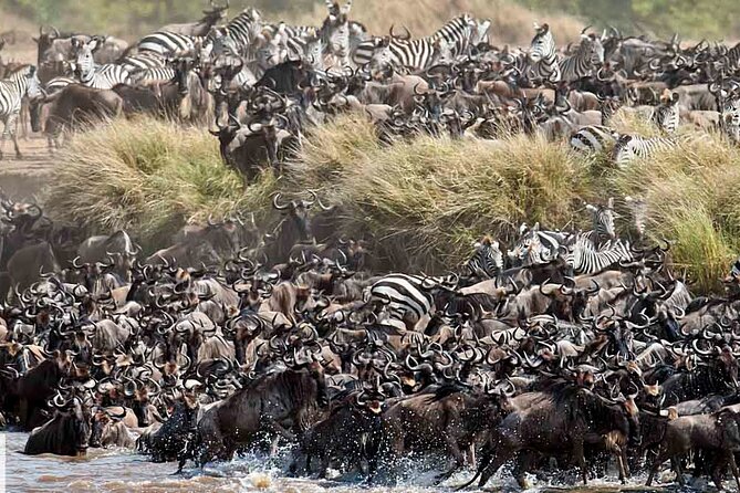 4 Days Tanzania Luxury Camping Safari - Daily Itinerary and Activities