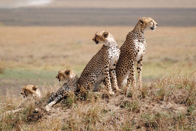 4 Days Tanzania National Parks Private Safari From Zanzibar - Included Amenities