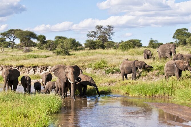 4 Days Tanzania National Parks Private Safari From Zanzibar - Activity Suitability