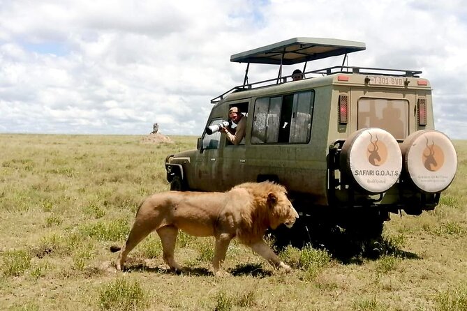 4 Days Tanzania Private Lodge Safari - Safari Highlights