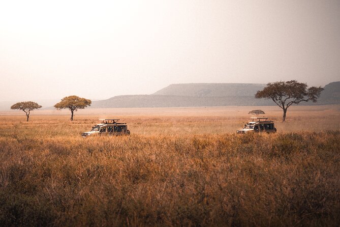 4 Days Tanzania Private Lodge Safari - Accommodations