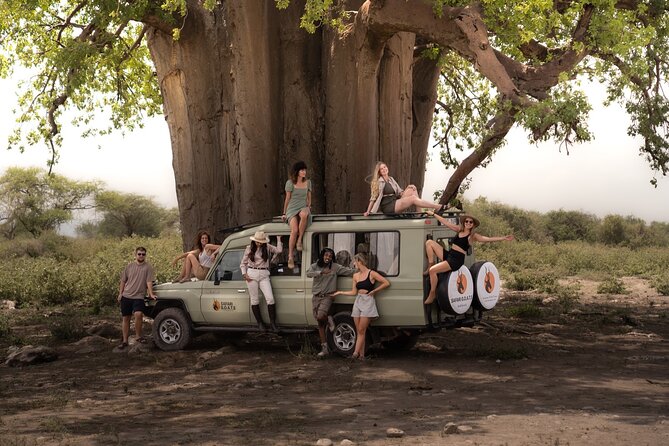 4 Days Tanzania Private Lodge Safari - Inclusions and Exclusions